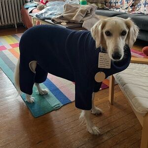 Meet your Posher, Krista